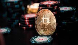 Вход на официальный сайт Kaktuz Casino